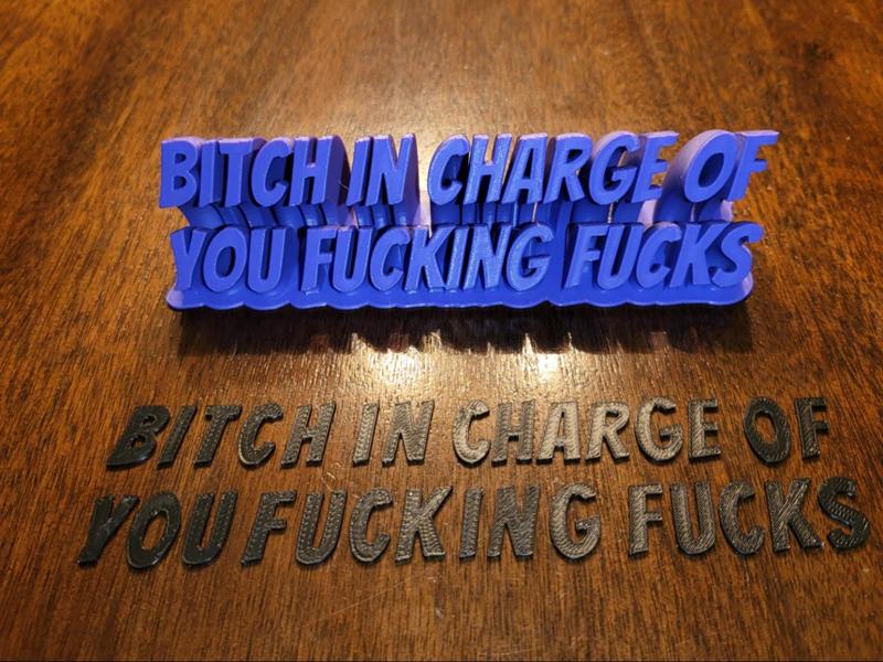 Bitch In Charge Name Plate