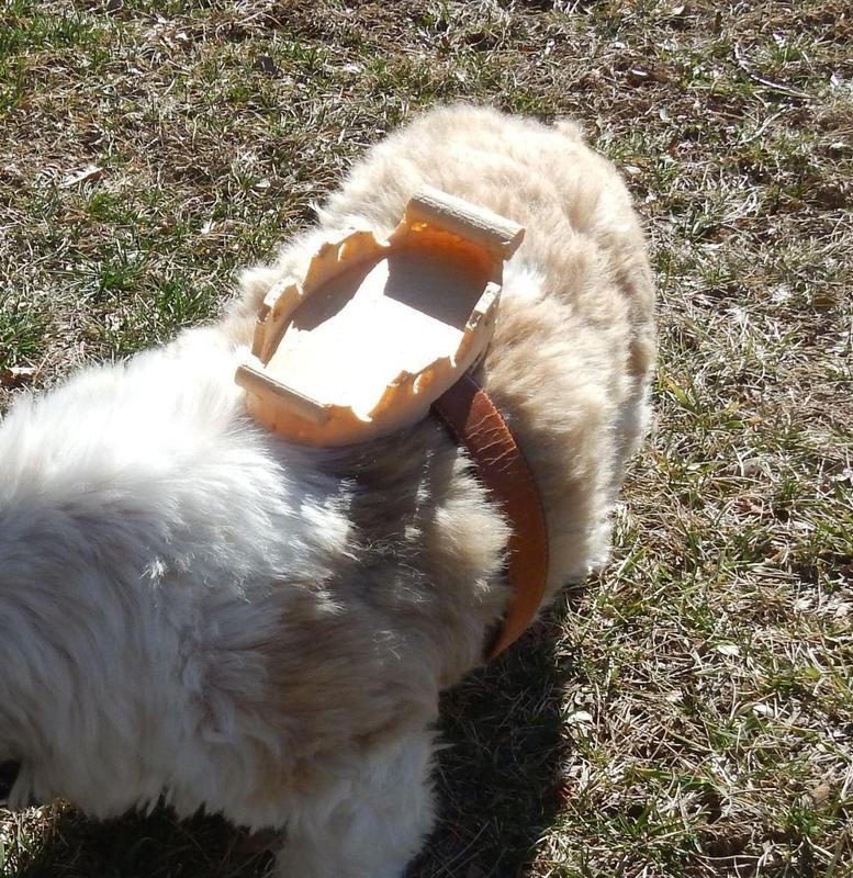 Appa Saddle (cosplay for pets)