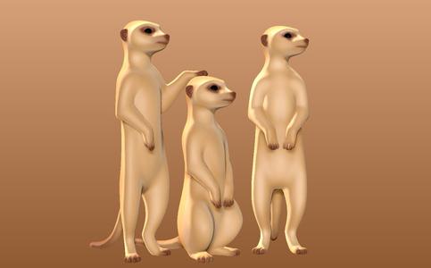 Meerkats
