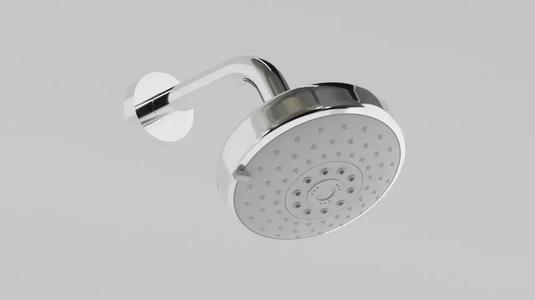 shower head