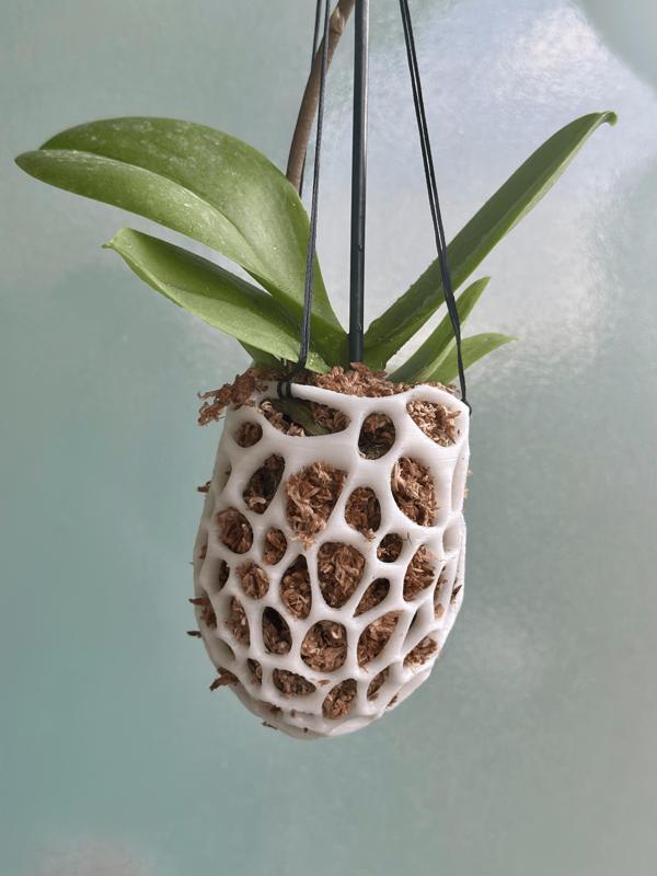 Hanging Voronoi Orchid Planter