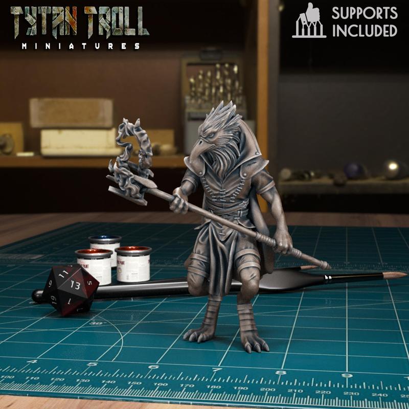 DnD Heroes - Kenku Male Mage [Pre-Supported]