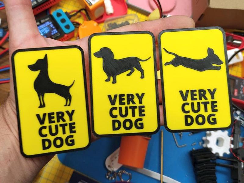 Very cute dog - 3 version