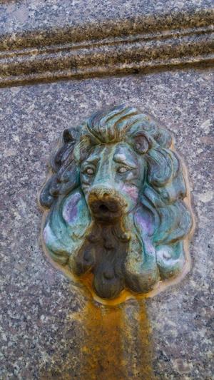 Lion fountain head