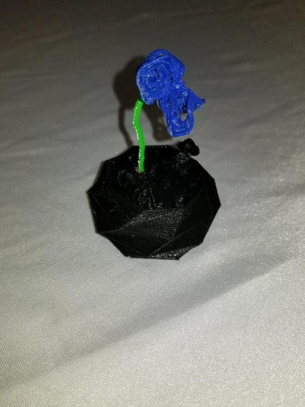 Generative Rose and Planter