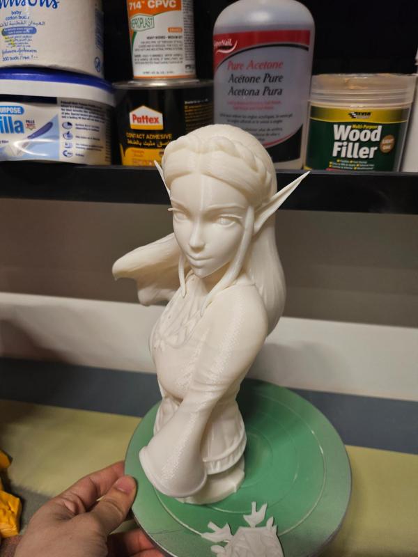 Zelda Bust