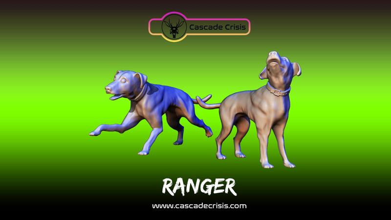 Ranger (Dog) 2 Poses
