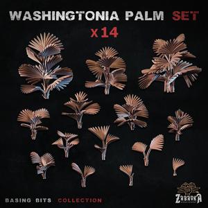 Washingtonia palm - Basing Bits (Plants)