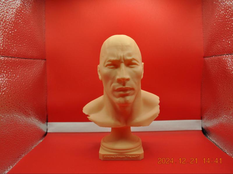 The rock - dwayne johnson 