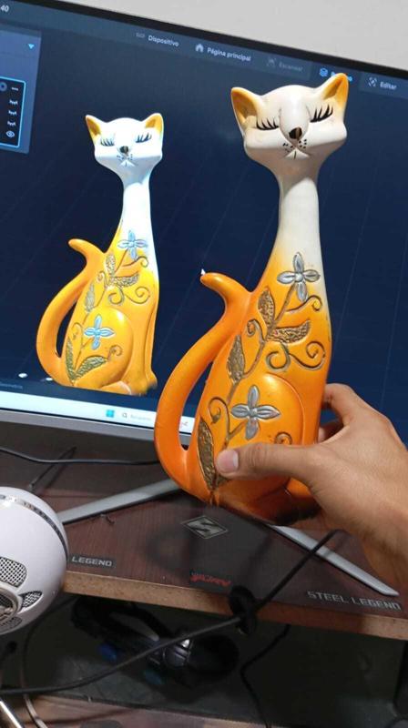 Cat ornament scan test