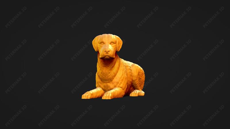 Chesapeake Bay Retriever Dog 3D Print Model Pose 08