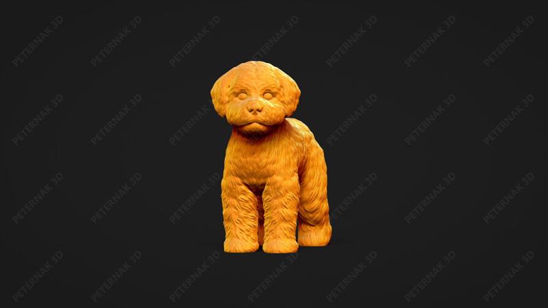 Bichon Frise Dog 3D Print Model Pose 02