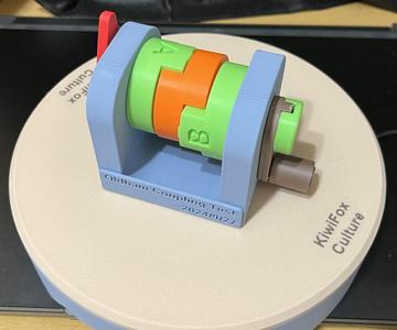 The Test of Oldham Coupling