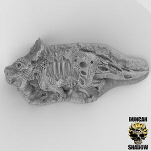 Dead Triceratops