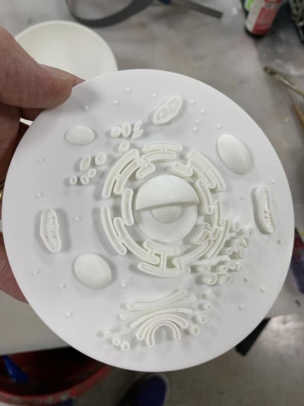 Animal Cell with Stand (All Parts) 