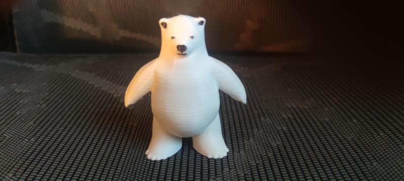 Polar Bear