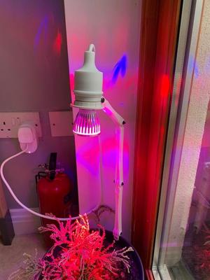 Desk/Plant Lights - E27 Socket