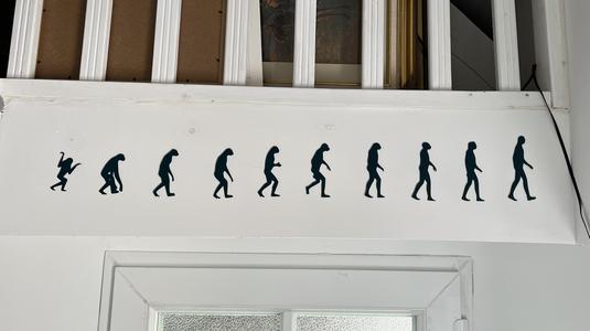 Darwin's Theory of Evolution Wall Art #1