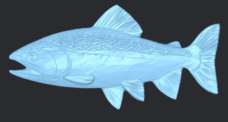 3D Relief of a Trout