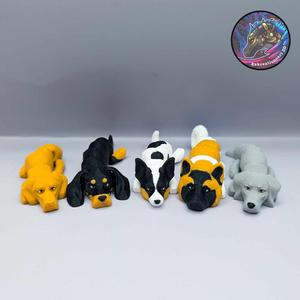 Baby Flexi Dog Set 8