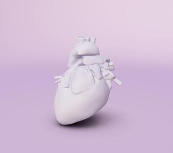 Human heart