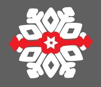 Pokémon / Premier Ball / Anime / Ornament / Christmas