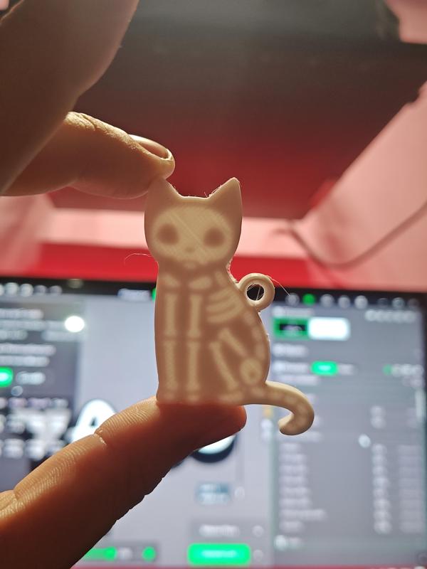Cat skeleton keychain
