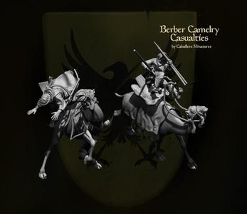 Berber Camel Casualties