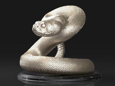 Crotalus Snake