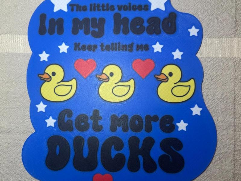 more ducks sign plate