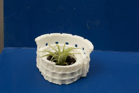 Colosseum planter