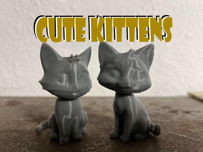 Rostomilé kotátka, kočka