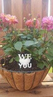 We Love You Plant Lollipop