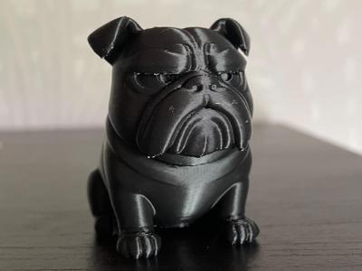 Grumpy Bulldog