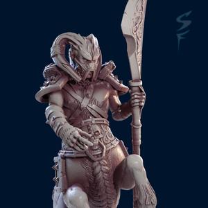 Centaur Warrior