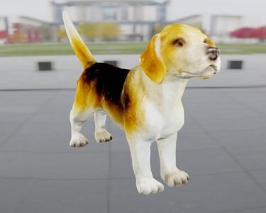 Beagle