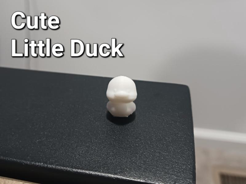 Cute Little Duck