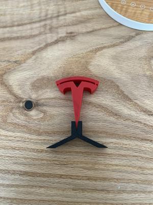 Tesla Logo Display
