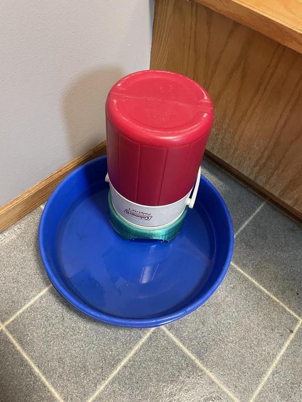 Pet Waterer