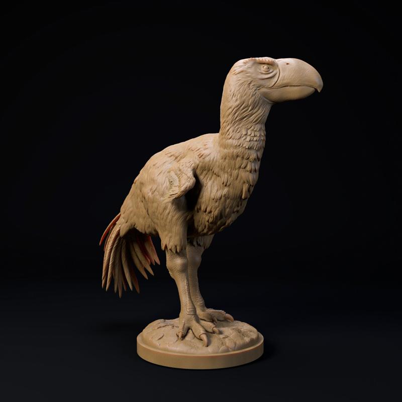 Brontornis 32mm scale - pre-supported terror bird companion
