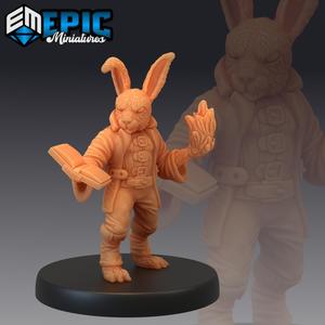 Bunny Wizard / Rabbit Magician / Rodent Sorcerer / Hare Army