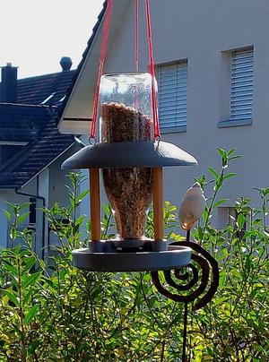 Bird Feeder