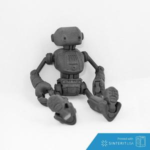Ankly Robot - 3d Printed Assembled