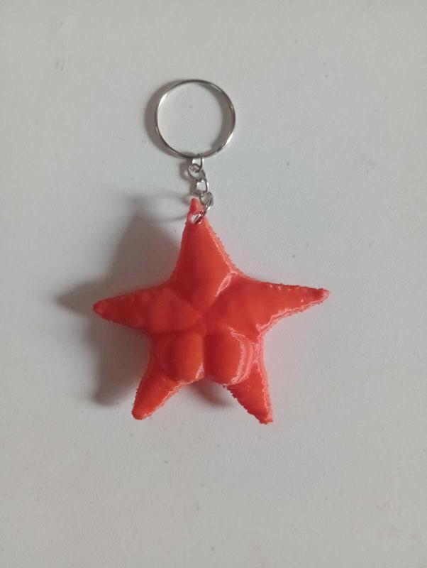 ⭐🌊 🔑 Llavero Estrella Culona Conicet