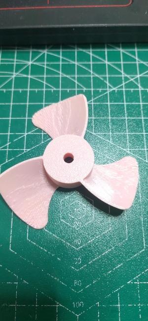 flabellum（扇叶）