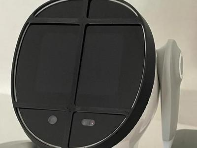 Loona Face Bumper (Knight's Mask)