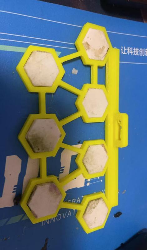 Universal Coral Base Mount