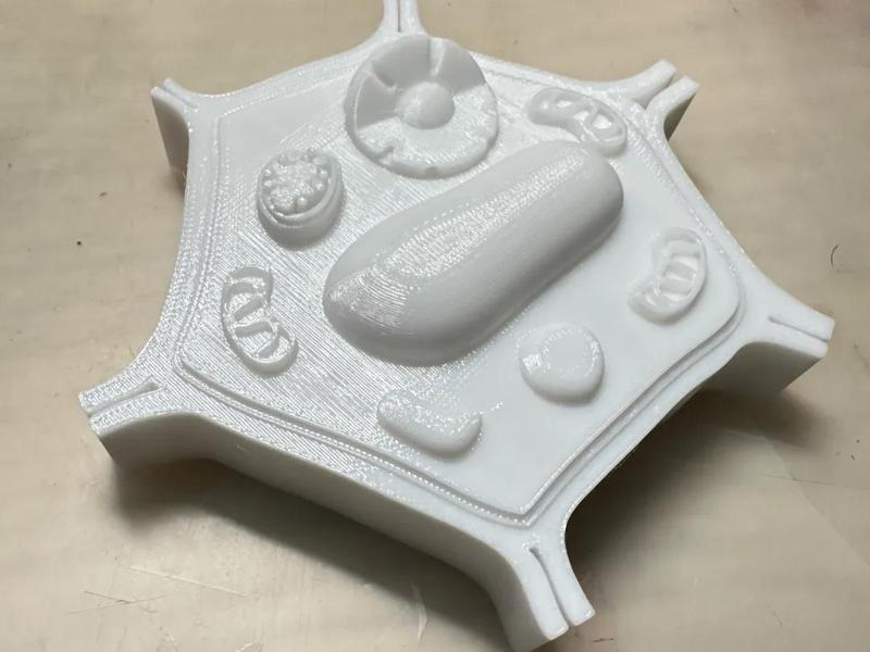 Junior High Biology - Plant Cell