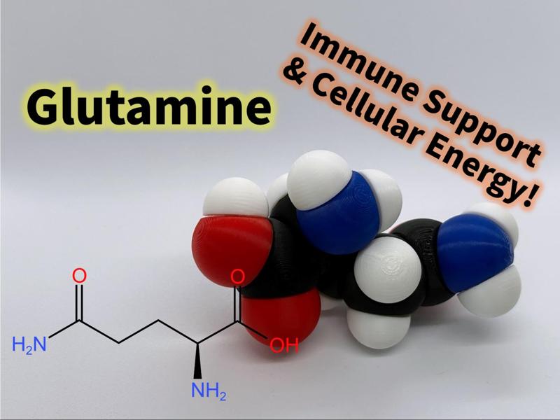 Glutamine molfidget with rotatable bonds