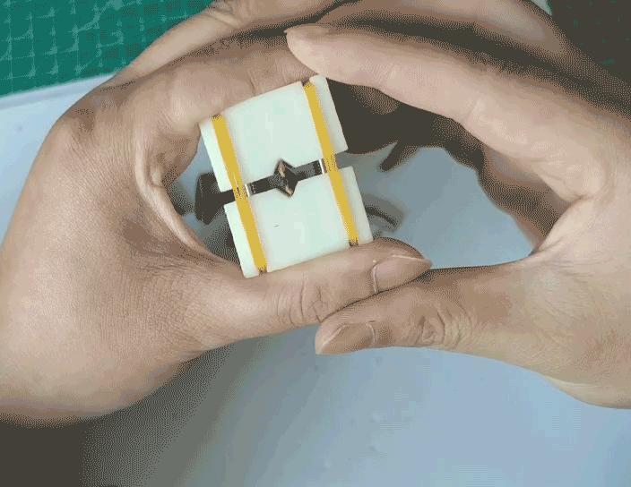 Sunflower Seed Opener